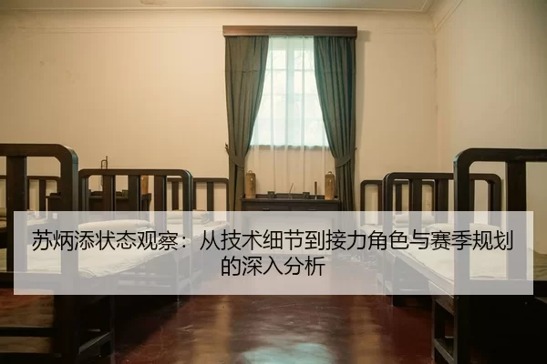 su-bing-tian-zhuang-tai-guan-cha-cong-ji-shu-xi-jie-dao-jie-li-jue-se-yu-sai-ji-gui-hua-de-shen-ru-fen-xi-2-810.jpg