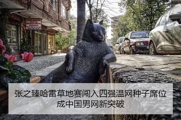 张之臻哈雷草地赛闯入四强温网种子席位成中国男网新突破