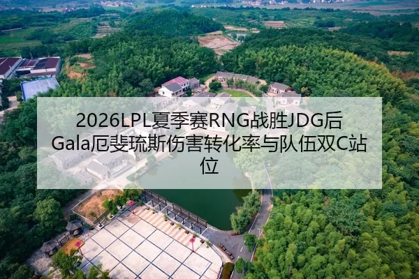 2026LPL夏季赛RNG战胜JDG后Gala厄斐琉斯伤害转化率与队伍双C站位