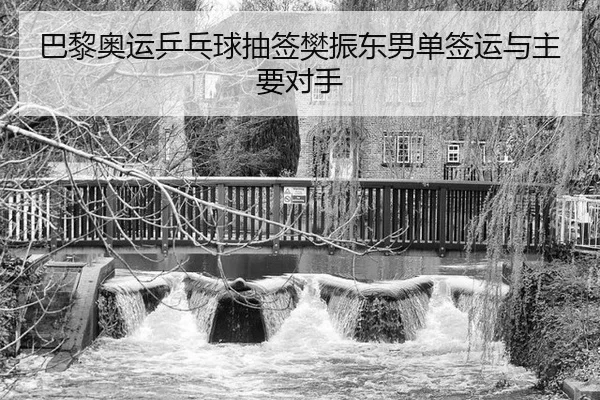 ba-li-ao-yun-ping-pang-qiu-chou-qian-fan-zhen-dong-nan-dan-qian-yun-yu-zhu-yao-dui-shou-3-374.jpg