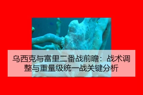 乌西克与富里二番战前瞻：战术调整与重量级统一战关键分析